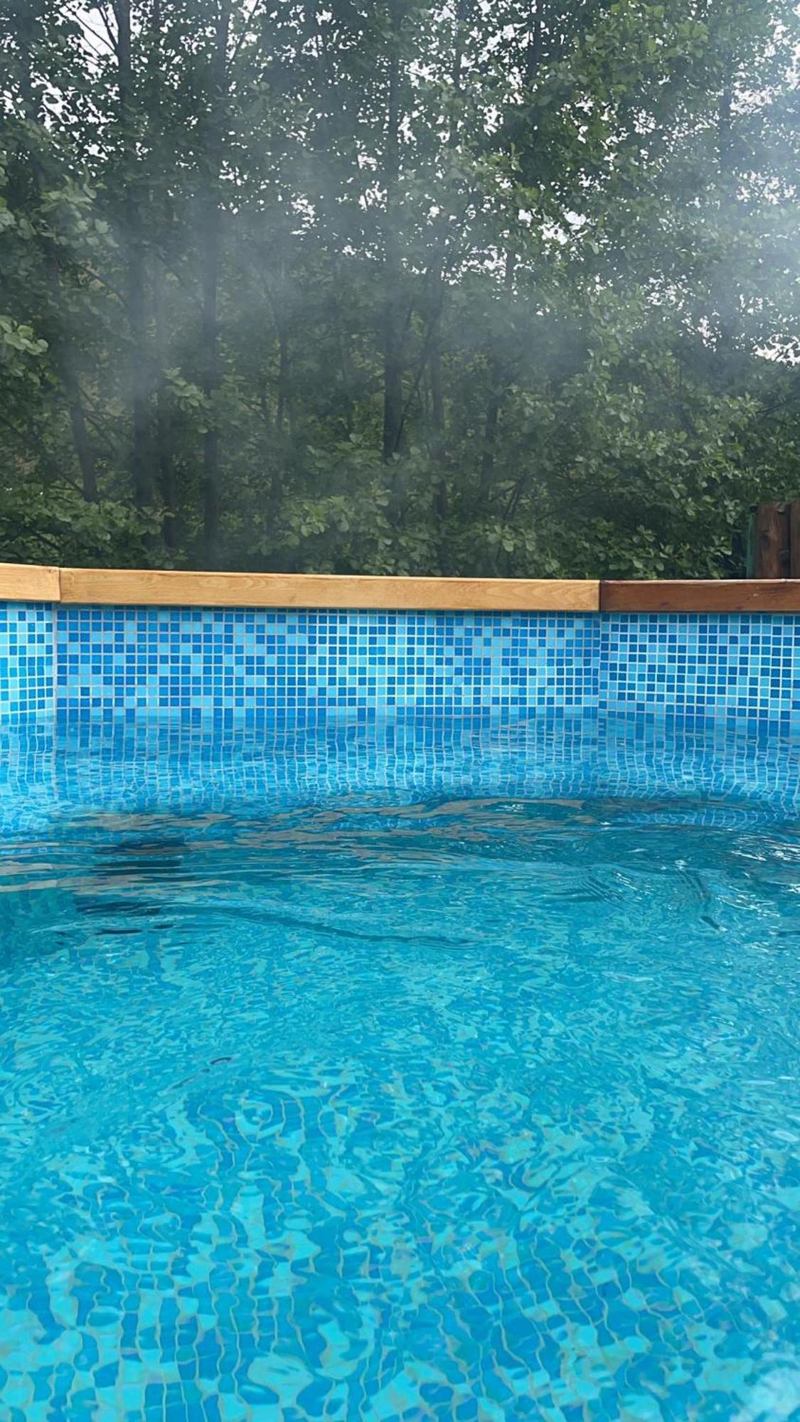 Buturuga Mica Villa Нехою Екстериор снимка